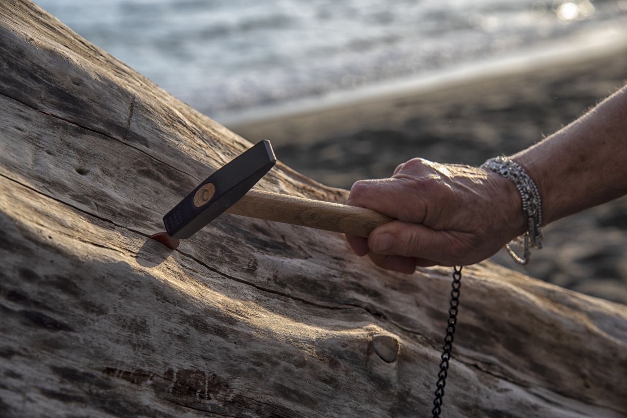 Il nuovo Albero dei desideri: un ricordo del passaggio dell''Amerigo Vespucci